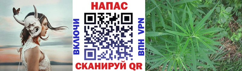 Бошки Шишки тримм  закладка  Александровское 